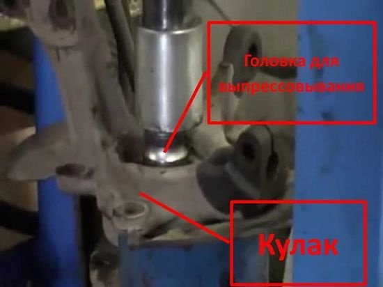 костяшка
